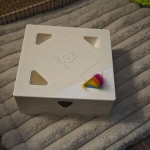 Rechargeable Hide And Seek Cat Toy